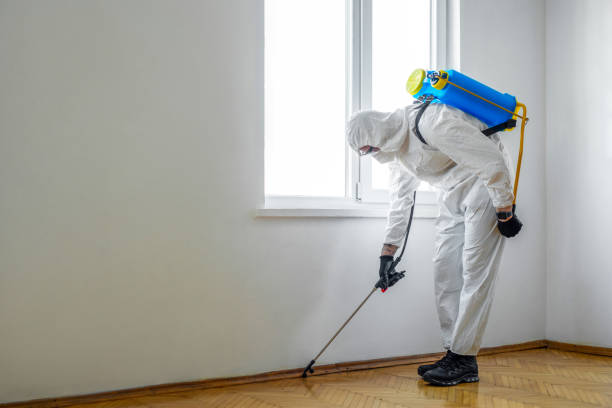 Best Pest Control for Hotels  in Morgantown, IN